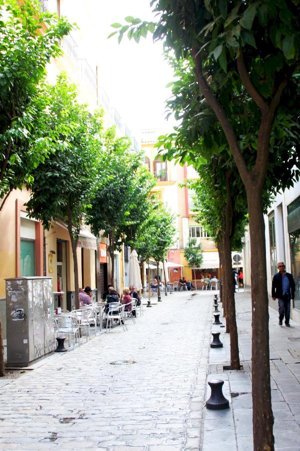 セビリアPlaza Nueva Terrazaアパートメント エクステリア 写真